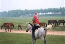 Xilamuren Grassland Day Tour